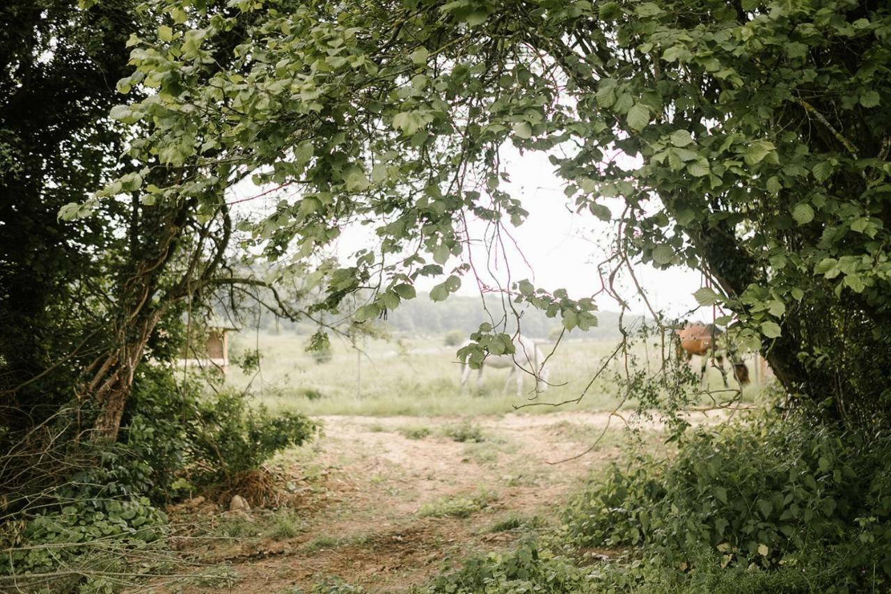 La Bulle De La Ferme Du Ry Ξενοδοχείο Ντινάντ Εξωτερικό φωτογραφία