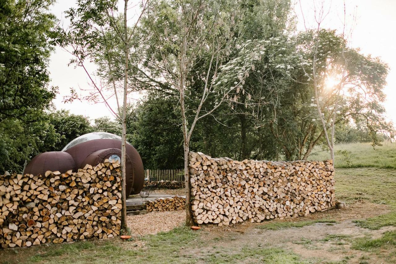 La Bulle De La Ferme Du Ry Ξενοδοχείο Ντινάντ Εξωτερικό φωτογραφία